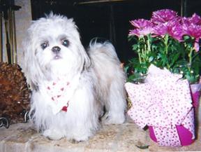 Cubby on Hearth